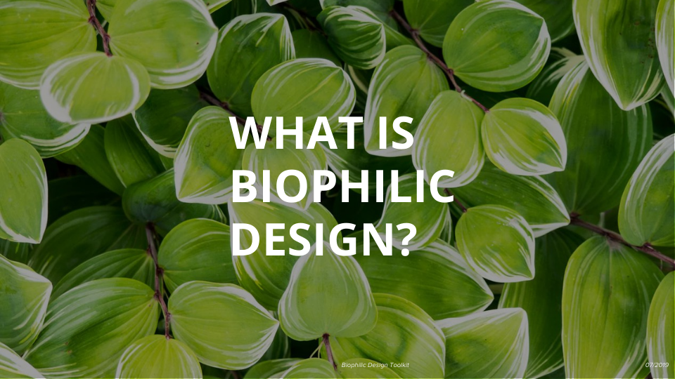 What is Biophilic Design