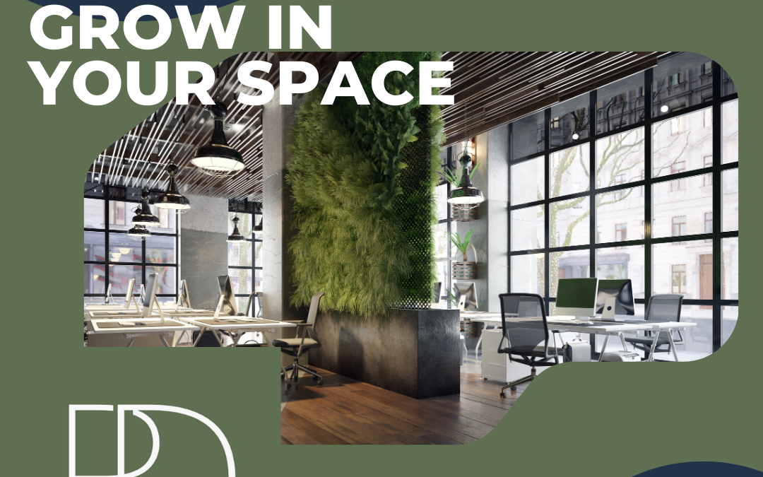 Breathe Easy: DIY Biophilic Design Projects for Your Office Oasis